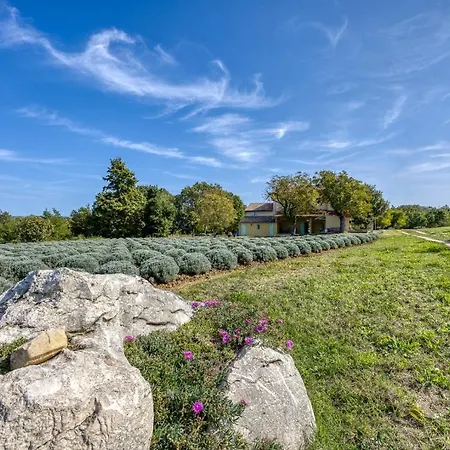 Stancija Klis Villa Vižinada